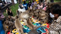 Warga sukarela menyiapkan makanan di seberang jalan untuk monyet yang merupakan simbol Provinsi Lopburi, sekitar 150 kilometer utara Bangkok.  