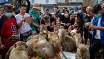 Meriahnya Festival Monyet di Thailand, Pesta Besar Buah-buahan!