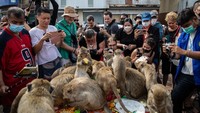 Festival ini merupakan tradisi tahunan di Lopburi dan diadakan sebagai cara untuk menunjukkan rasa terima kasih kepada monyet karena telah mendatangkan pariwisata.  