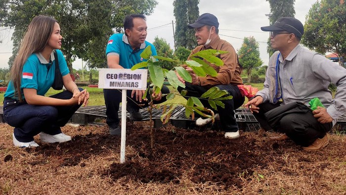Mengintip Kehidupan Masyarakat di Seputar Kawasan Hutan Sumatera Setiap musim kemarau, kabut asap selalu jadi momok menakutkan bagi masyarakat Sumatera, tak terkecuali di Riau. Masyarakat disekitar kawasan Hutan Sawit ini juga turut berjibaku mencegah agar tak ada lagi kabut asap.