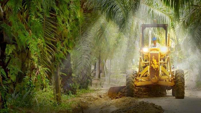 Setiap musim kemarau, kabut asap selalu jadi momok menakutkan bagi masyarakat Sumatera, tak terkecuali di Riau. Masyarakat disekitar kawasan Hutan Sawit ini juga turut berjibaku mencegah agar tak ada lagi kabut asap.