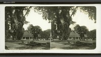 Jepretan lawas ini mengambil sudut pandang sebuah rumah dengan pepohonan rimbun di Yogyakarta.