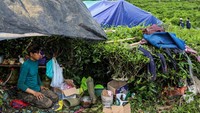 Warga memilih kebun teh yang jauh dari bangunan untuk mengantisipasi gempa susulan.  