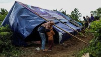 Warga berkemah di perkebunan teh pascagempa M 5,6 di Desa Sukamulya, Cianjur, Jawa Barat, Sabtu (26/11/2022).  