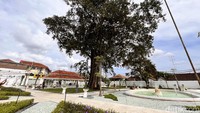Sebelum menjadi taman, kawasan itu digunakan untuk lapangan tenis bahkan sempat menjadi lahan parkir. Pura Mangkunegaran bertiket masuk Rp 20 ribu bagi wisatawan lokal dan Rp 40 ribu bagi turis asing. 