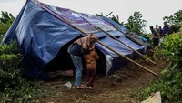 Warga berkemah di perkebunan teh pascagempa M 5,6 di Desa Sukamulya, Cianjur, Jawa Barat, Sabtu (26/11/2022).  