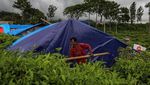 Takut Gempa Susulan, Warga Cianjur Bangun Tenda di Kebun Teh
