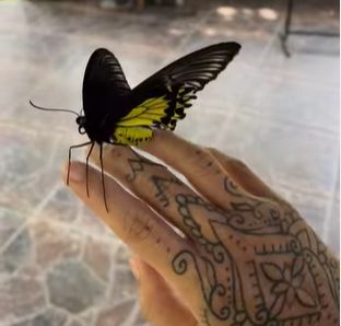 Deretan taman di Bali yang populer.