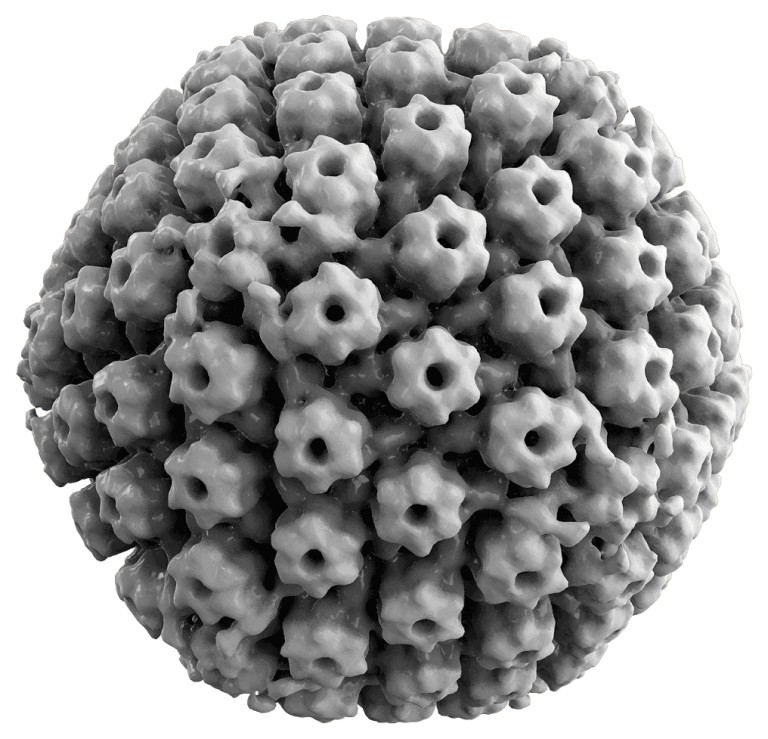 Virus tertua di dunia