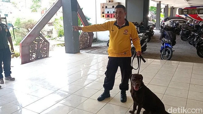Anjing ras labrador Coco di kantor Satpol PP Semarang, Selasa (29/11/2022).