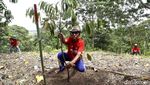 BCA Tanam 1000 Pohon Durian di Gunung Sasak Lombok