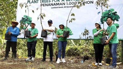 BCA Tanam 1000 Pohon Durian di Gunung Sasak Lombok
