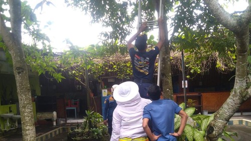Tim Damkar mengevakuasi sarang lebah di PAUD di Jembrana.