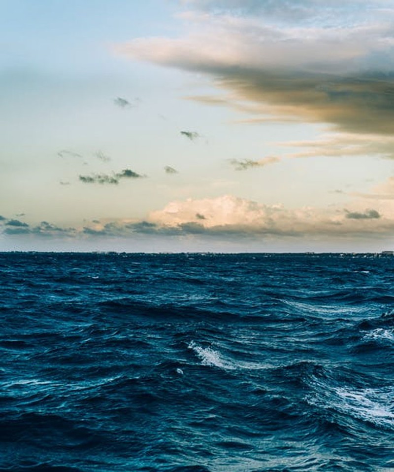 Fakta Menarik dan Mencengangkan