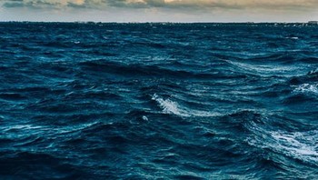  Sebagian besar oksigen berasal dari laut/lautan. Tapi orang selalu berbicara tentang melindungi pohon bukan laut. Foto: Boredpanda