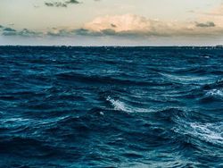 20 Fakta Menarik yang Bikin Tercengang Saat Mengetahuinya