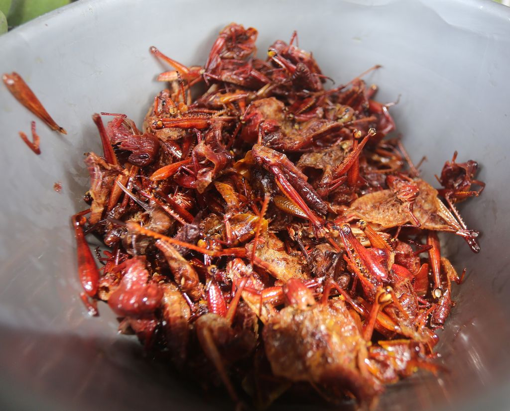 Kuliner Gunungkidul