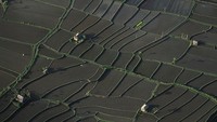 Masih dari Bali, kali ini ada aerial persawahan di kawasan Ubud. Foto ini pun diambil pada tahun yang sama yakni 1989.