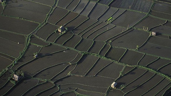 Masih dari Bali, kali ini ada aerial persawahan di kawasan Ubud. Foto ini pun diambil pada tahun yang sama yakni 1989. Masih dari Bali, kali ini ada aerial persawahan di kawasan Ubud. Foto ini pun diambil pada tahun yang sama yakni 1989.