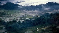 Berikutnya, ada lanskap dari kawasan Toraja di Sulawesi. Foto ini dijepret pada tahun 1990.