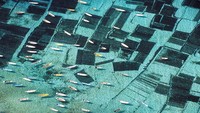 Kali ini ada area perkebunan rumput laut di Nusa Penida, Bali. Jernihnya air laut membuatnya terlihat sangat mempesona. Foto ini diambil pada tahun 1996.