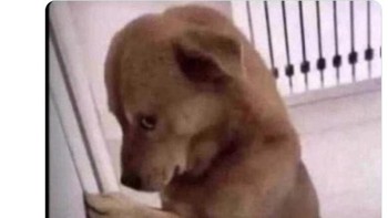 Selebrasi Ronaldo sebenarnya.... Foto: Twitter