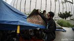 Mereka yang Bertahan untuk Masuk ke Kampung Susun Bayam