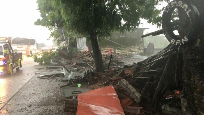 pohon tumbang di gresik