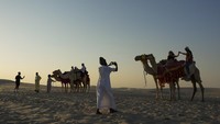 Qatar Happy Banyak Turis, tapi Unta-untanya Malah Tersiksa