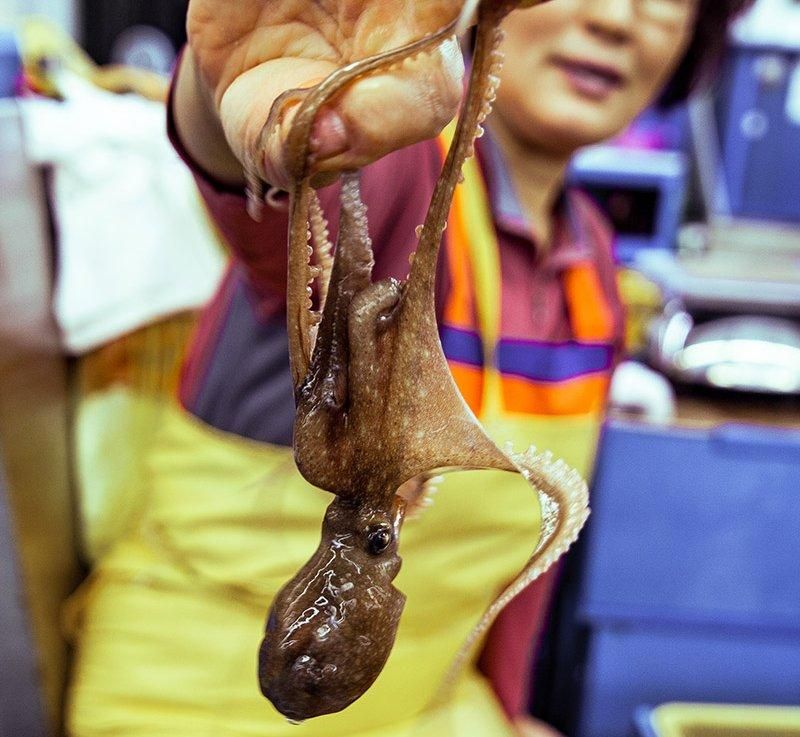 5 Makanan Paling Aneh dan Ekstrem di Dunia yang Rasanya Menantang
