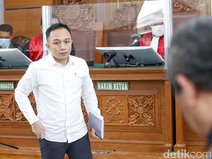 Hakim ke Rizal: Disuruh Membunuh Enggak Mau, Disuruh Mencuri Mau