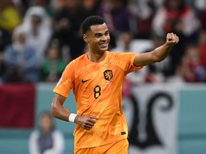 Van Dijk Sarankan Cody Gakpo Tolak Tawaran Manchester United!