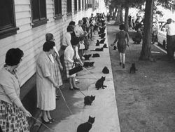 Foto Bersejarah yang Langka, Pernah Ada Kejadian Macam Itu