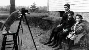 Seolah-olah kucing memotret. Foto ini diambil tahun 1909. Foto: Instagram/librarybizarre