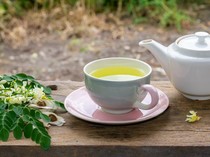 Cara Membuat Teh Daun Kelor dan Segudang Manfaatnya