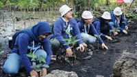 Perwira Penggerak menanam bibit pohon mangrove bersama-sama di Desa Pangkalan Jambi, dengan harapan dapat memitigasi abrasi di kemudian hari.