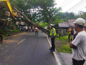 Pohon Tumbang di Minahasa Utara Hambat Akses Jalan, Lalin Dialihkan