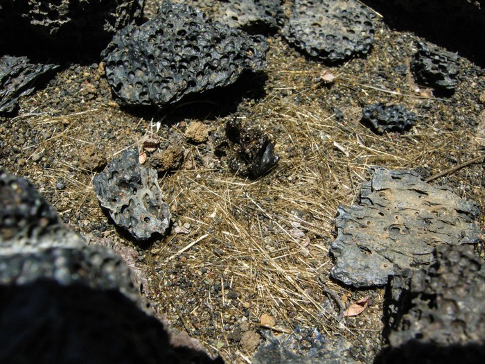 Rambut Pele, untaian lava dari Gunung berapi Mauna Loa di Hawaii