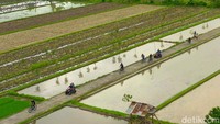 Pertama ada Desa Bilebante di Kabupaten Lombok Tengah, NTB. Menurut Sandiaga, desa ini identik dengan spa, healing dan yoga. (Rengga Sencaya/detikcom)