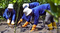 Perwira Penggerak bersama-sama turun menanam 100 bibit mangrove api ke wilayah konservasi mangrove Desa Pantoean untuk mencegah abrasi dan juga menjaga garis pantai agar tidak semakin turun.