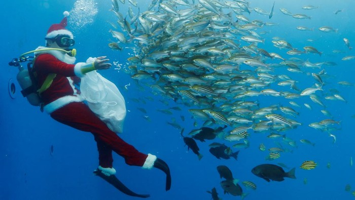 A diver wearing a Santa Claus costume swims with fishes in a large tank during an underwater performance for the upcoming Christmas celebration at Hakkeijima Sea Paradise in Yokohama, south of Tokyo, Japan December 1, 2022. REUTERS/Kim Kyung-Hoon          TPX IMAGES OF THE DAY