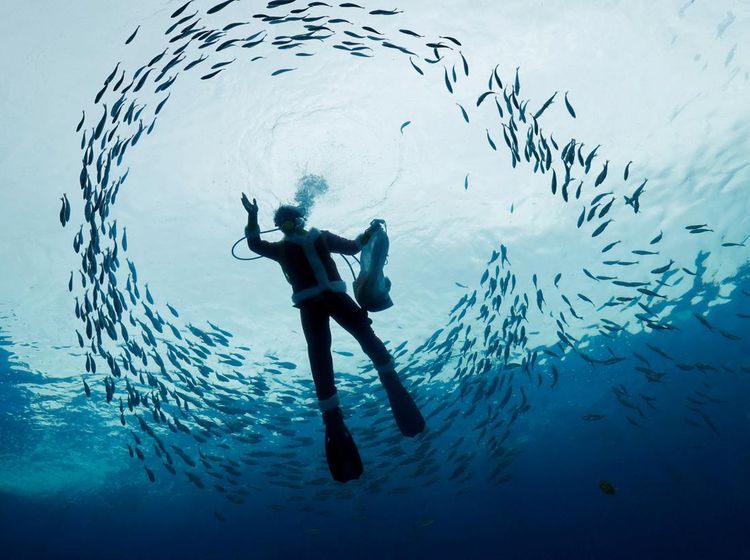 Aksi Sinterklas Menyelam Bersama Ikan-ikan untuk Sambut Natal