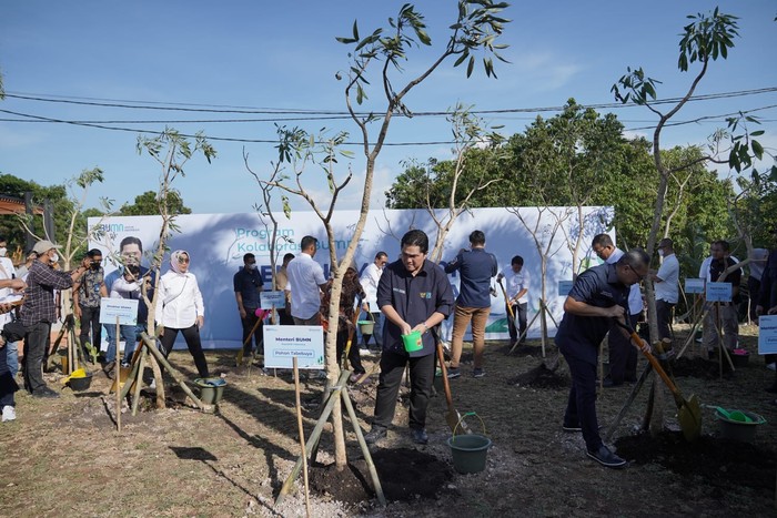 Lampaui Target, BUMN Tanam 4,6 Juta Pohon Sepanjang Tahun 2022