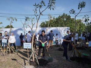 Lampaui Target, BUMN Tanam 4,6 Juta Pohon Sepanjang Tahun 2022