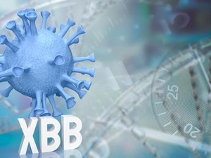 Bisa Lolos Pemeriksaan Antigen, Seberapa Bahaya Sih COVID Varian XBB?