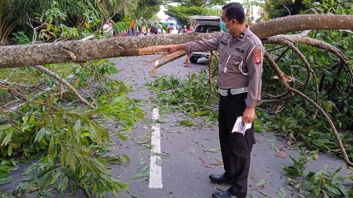 Lokasi 2 pemotor di Palangkaraya, Kalteng, tabrak pohon tumbang.