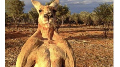 Australia Lolos 16 Besar Piala Dunia Guncang Linimasa