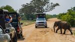 Mengunjungi Taman Nasional Terbesar Kedua di Sri Lanka