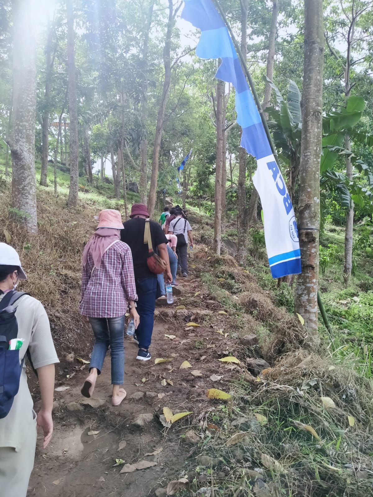 Penanaman 1000 Pohon. (CNBC Indonesia/ Suhendra)