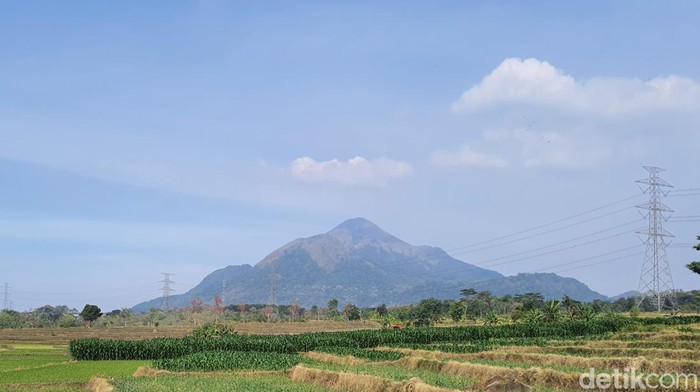Potret lahan pertanian di Kutorejo, Mojokerto dengan latar belakang Gunung Penanggungan